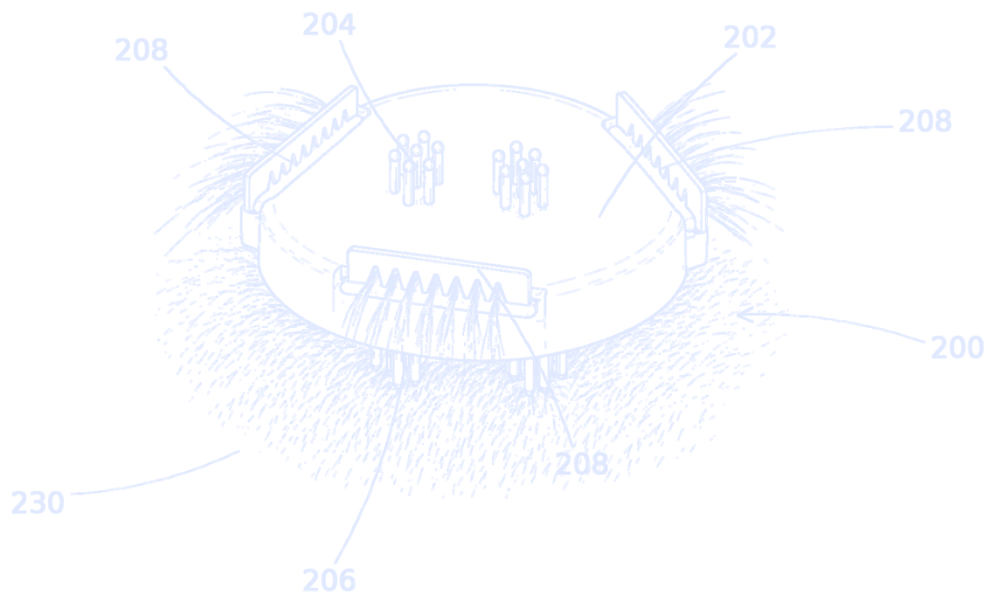 Patent drawing: the fur anchor sitting in the coat, with thin combs gripping the hairs and spring-tip electrode clusters underneath